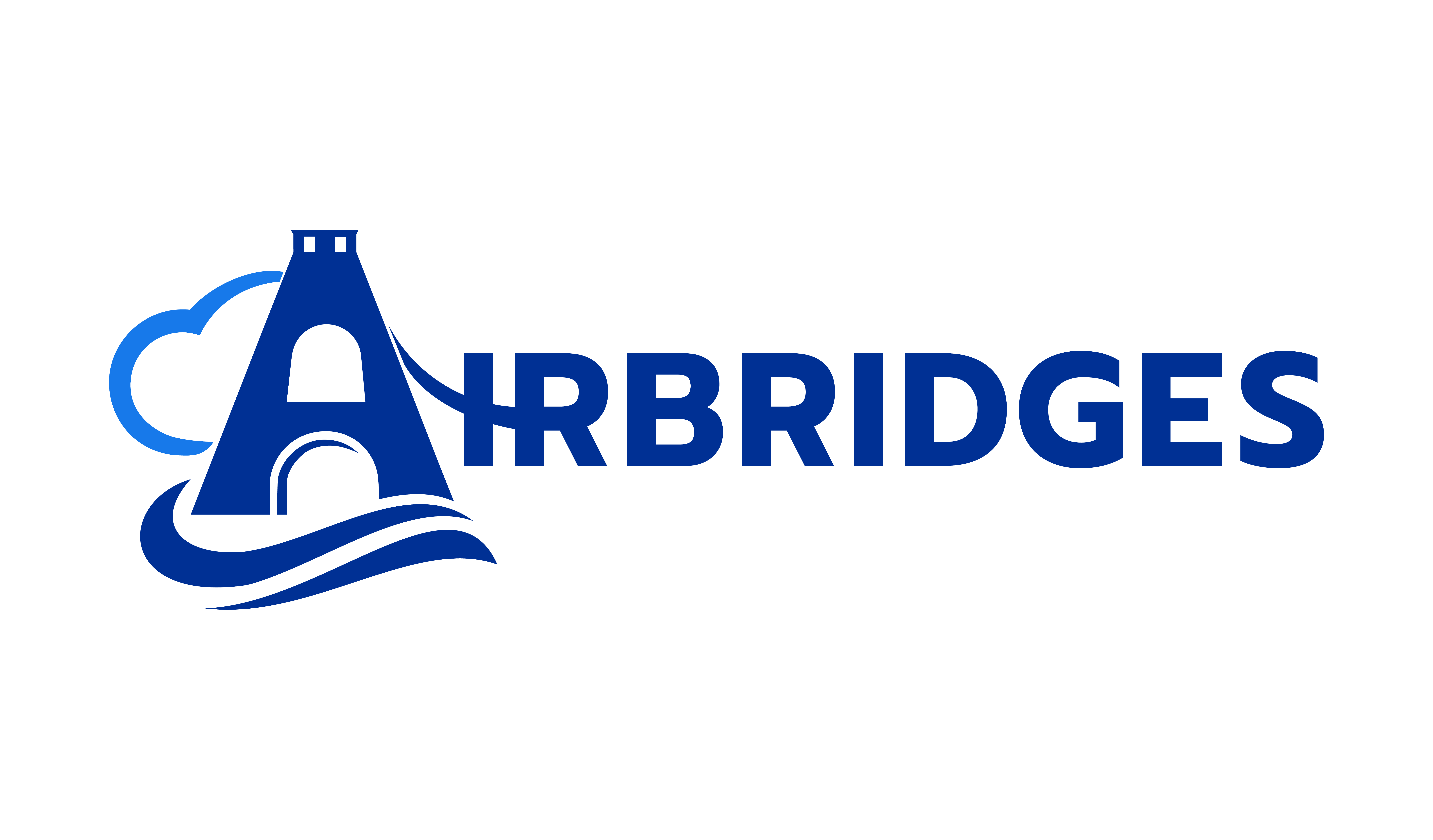 Airbridges Company Images